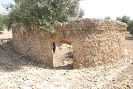 Casariche Ruins Sevilla Andalucia 